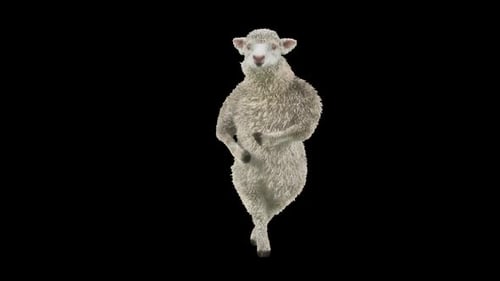 Animated Dancing Sheep on Transparent Background