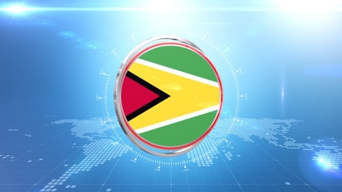 Modern Metallic Globe Reveal Animation