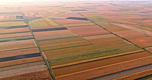 Aerial drone shot of various agricultural crop fields at farm