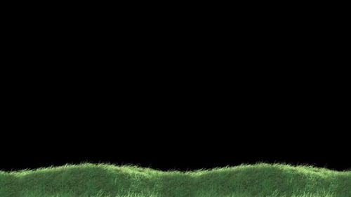 Gras Starker Wind