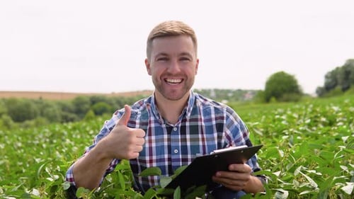 Farmer on Soybean Field Agronomist or Farmer Examining Crop of Soybeans Field