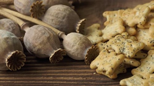 Poppy Seed Cookies with Dried Poppy Seed Pods