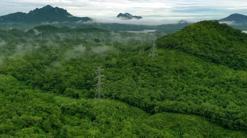 Lush Green Forest Landscape with Electrical Towers