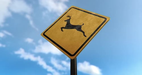 Sinal de travessia de veados - 4K