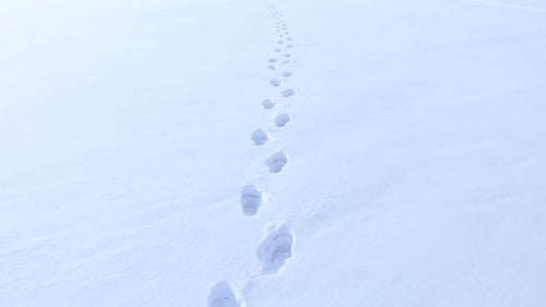 Footprints in Snow on a Winter Landscape