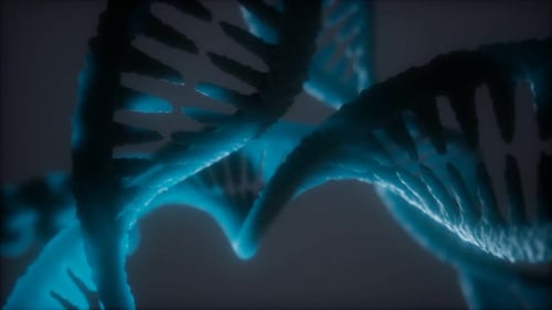 Loop Double Helical Structure of Dna Strand Closeup Animation