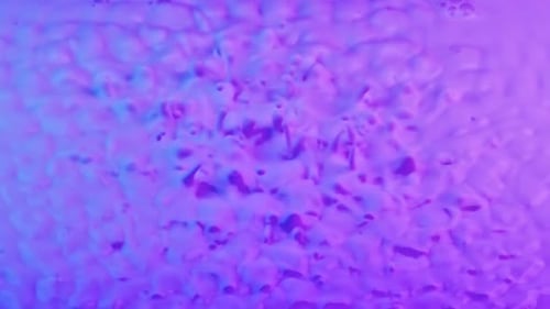 Strong Vibration Lifts Drops Milk with Pink Blue Tint Upward