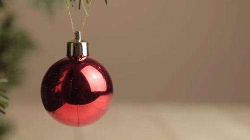 Red Christmas Ornament Hanging on Green Branch