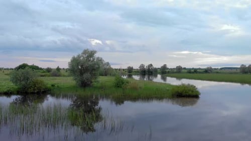 Swim along the river among the grass
