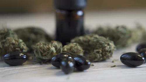 Botões de flores de cânhamo CBD orgânico e frasco de óleo CBD de cânhamo preto na superfície branca
