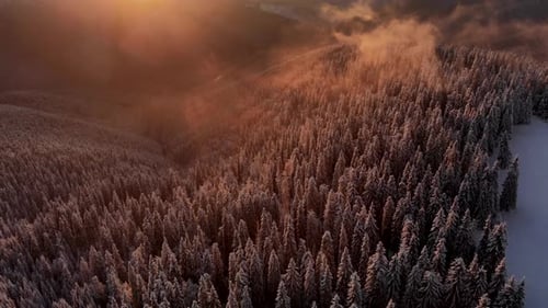 Drone Aerial Spin Around Winter Forest Unveiling Mountain Valley