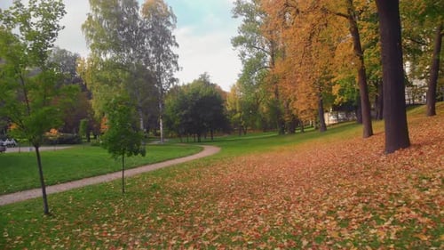 Die Schönheit eines Herbstparks in St.