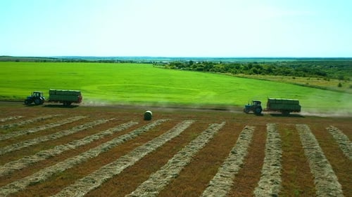 Tractors Carry Haystacks in a Cart, Side View, Aerial View. Transportation of Grass, Agricultural