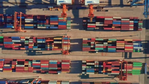 Port Cargo Terminal with Containers Prepared for Shipping