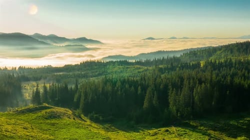 Majestic Mountain Forest Landscape at Sunny Sunrise