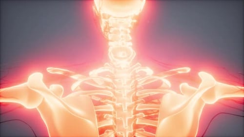 Animated 3D Human Skeleton with Glowing Pain Points