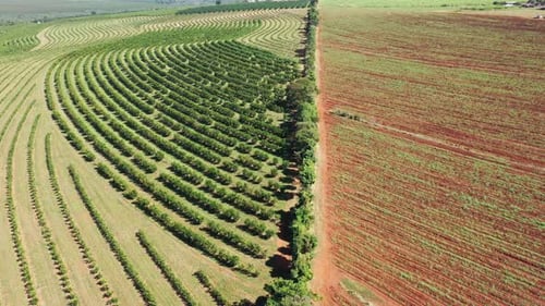 Rural landscape aerial view. Nature scenery