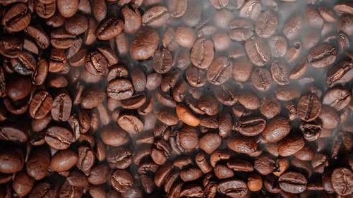 Close Up of Seeds of Coffee. Fragrant Coffee Beans Are Roasted Smoke Comes From Coffee Beans.