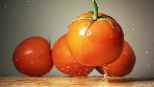 Fresh Tomatoes with Water Droplets Zooming In