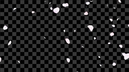 Realistic Falling Pink Petals Overlay for Wedding and Love Projects