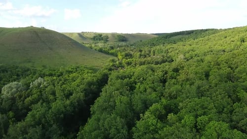 Aerial View of Green Forest and High Hills. Drone Shooting the Scenic View