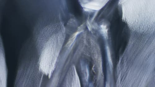Cinematic Abstract Motion Background (No CGI used) 0633