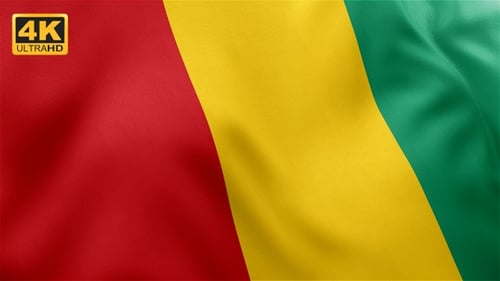 Realistic Waving Guinea Flag Motion Background