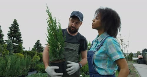 Gardeners Walking in Nursery Garden