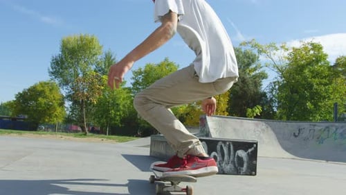 Skateboarder Performs Tricks at Skate Park on Sunny Day