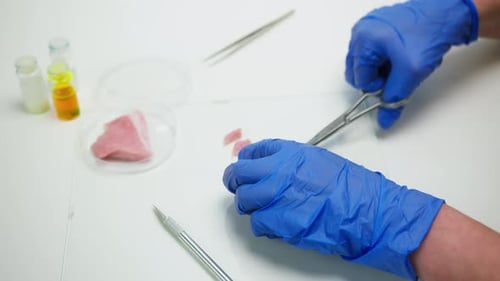 Scientist Cuts Meat in Laboratory Setting
