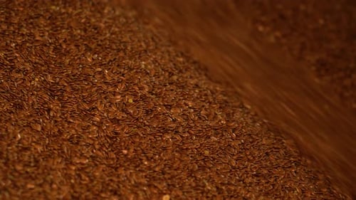 Grain flax sorting and grain cleaning
