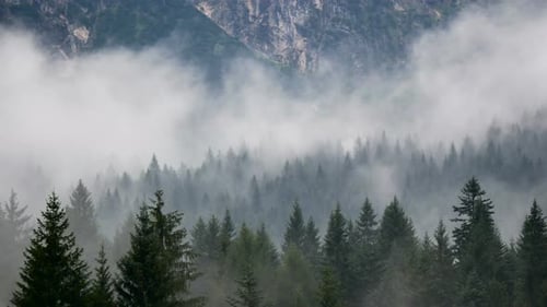 Fog Smoke Forest Mountains