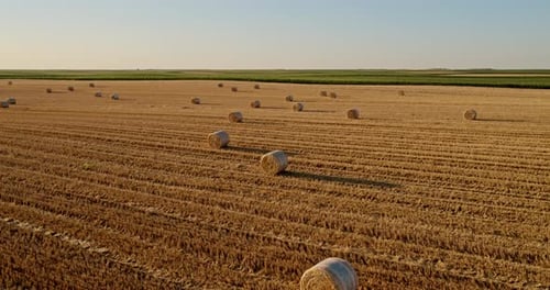 Serbia, Vojvodina, Aerial shot of wheat bales out on a field
