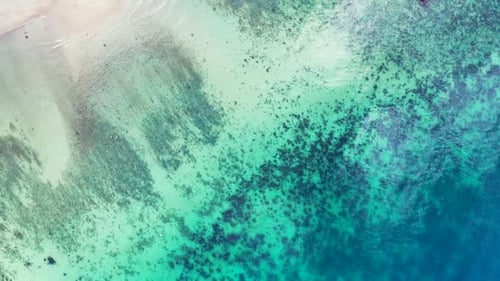 Aerial view seascape of perfect bay beach voyage by blue ocean and white sand background of a dayout
