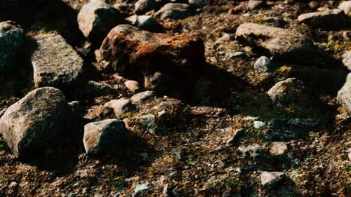 Close Up of Rocky Stones Formation