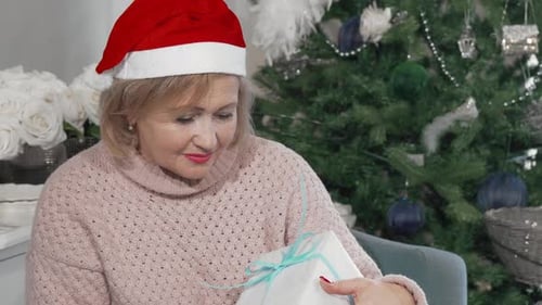 Woman Holding Christmas Gift Near Decorated Tree