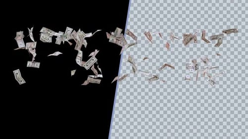 Animated Money Bills Falling Down Effect