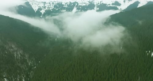 Aerial View of Wooded Mountains, Wonderful Flight To the Beautiful Forest in the Mountains, Aerial