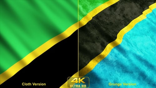 Tanzania Flags