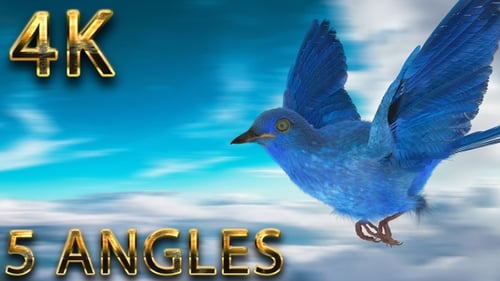 3D Animated Blue Bird Flying Loop with Flapping Wings