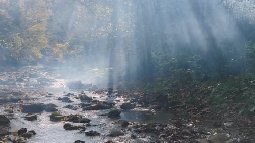 The river in the autumn forest. The sun is shining through the foliage.