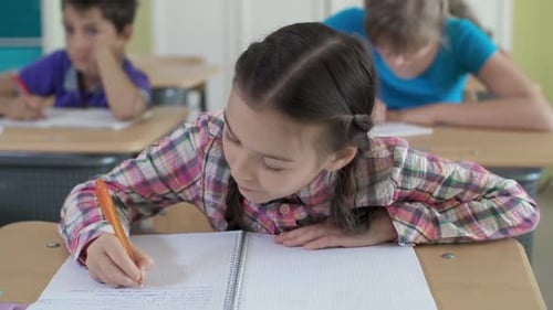 Children Studying and Writing in Classroom at School