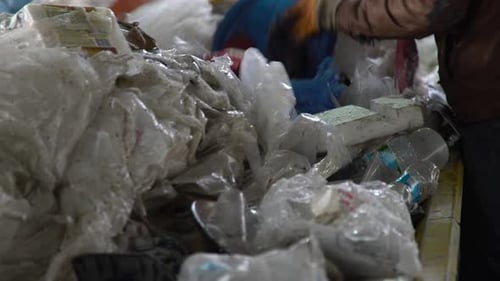 Workers Manually Sorting Recyclables on Conveyor Belt