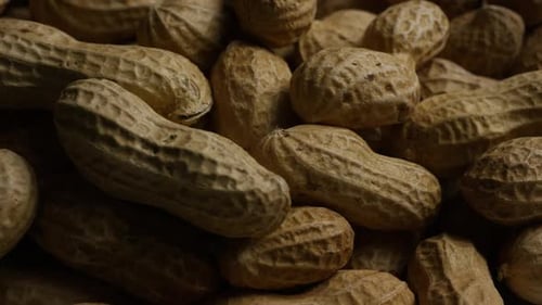 Cinématographique rotatif de cacahuètes sur une surface blanche - PEANUTS 024