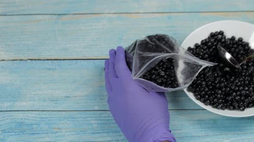 Filling Berries in Bag with Spoon, Food Prep