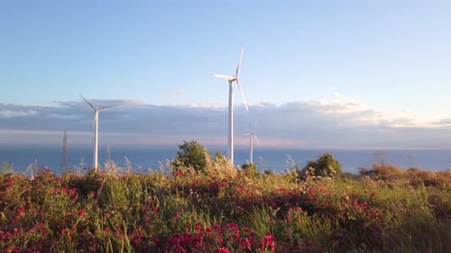 Wind Turbines