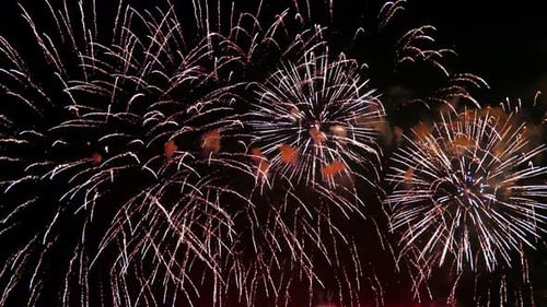 Fireworks Exploding in the Night Sky