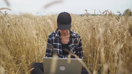 Countryside Female Farmer Sits in a Field and Works at a Laptop Remote Work and Selfisolation in