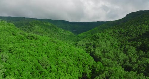 Aerial View of Beautiful Tropical Valley Between Mountains
