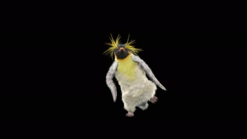 Penguin Dancing 4K
